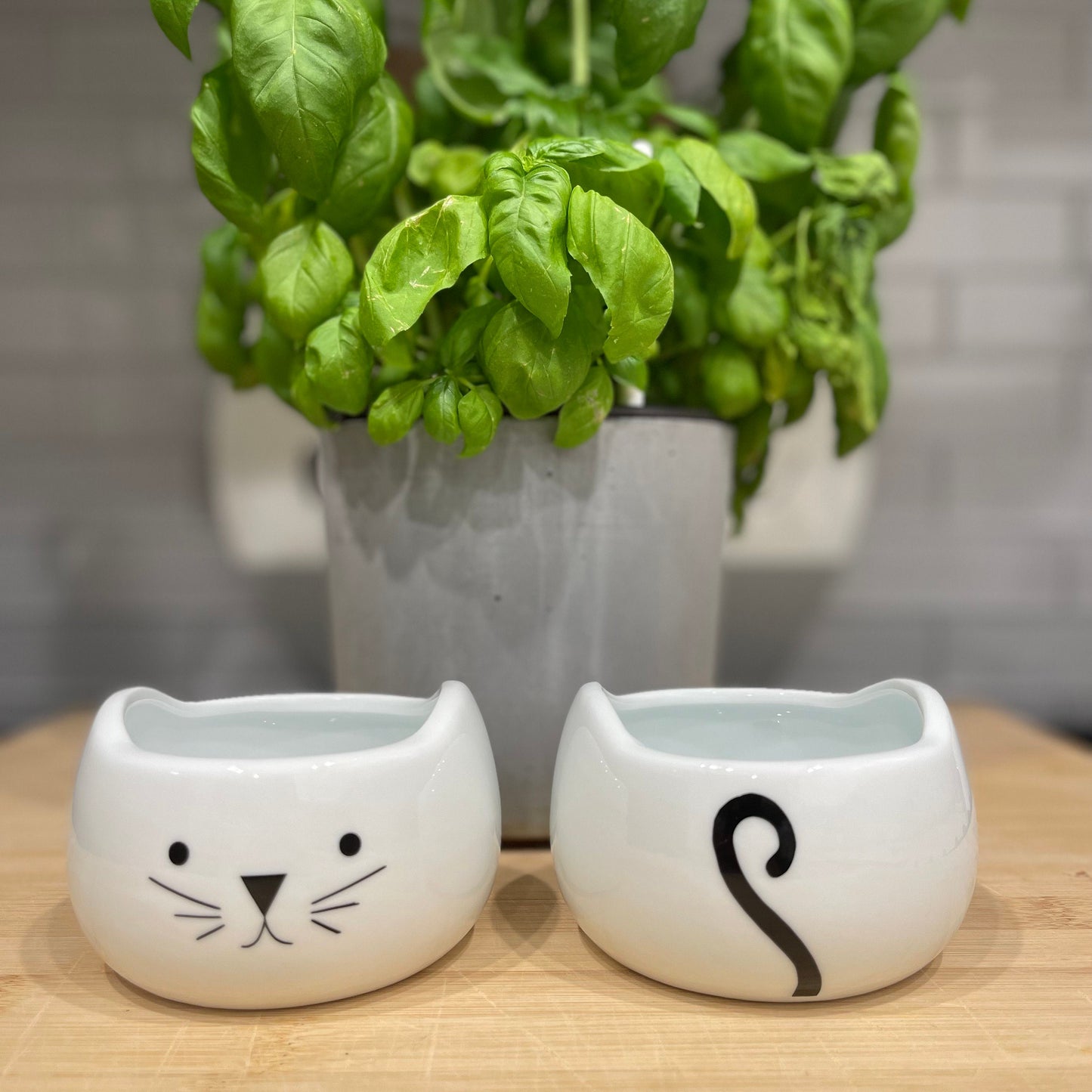 Cat Head Planter