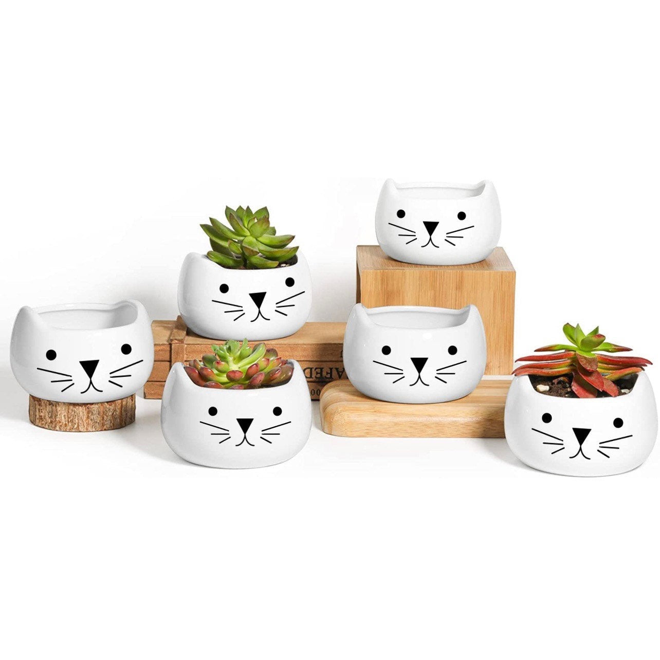 Cat Head Planter